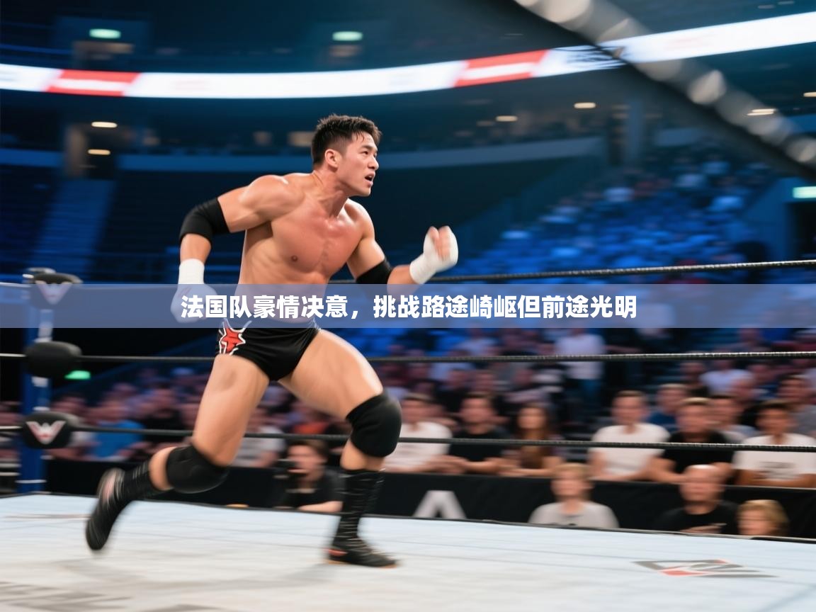 法国队豪情决意，挑战路途崎岖但前途光明  第1张