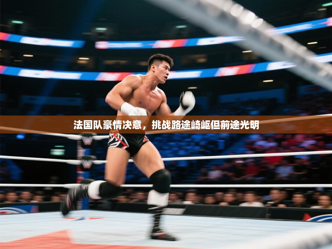 法国队豪情决意，挑战路途崎岖但前途光明  第2张