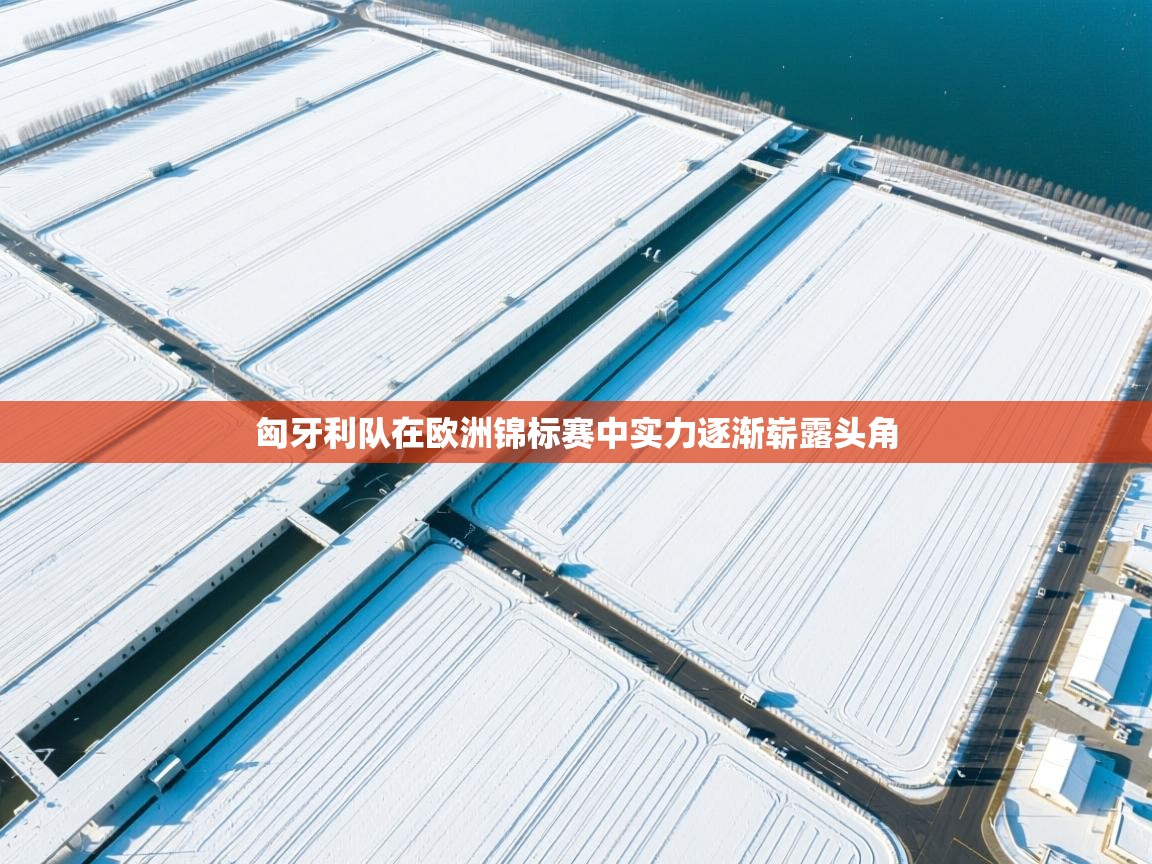 匈牙利队在欧洲锦标赛中实力逐渐崭露头角