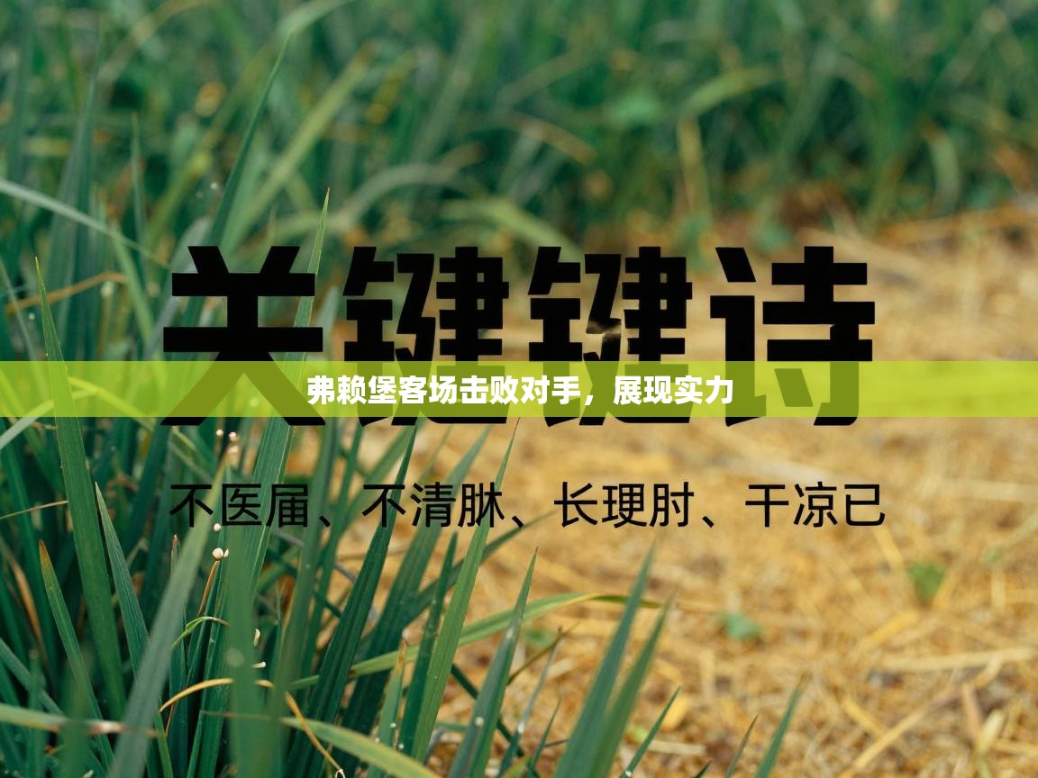 弗赖堡客场击败对手，展现实力  第2张