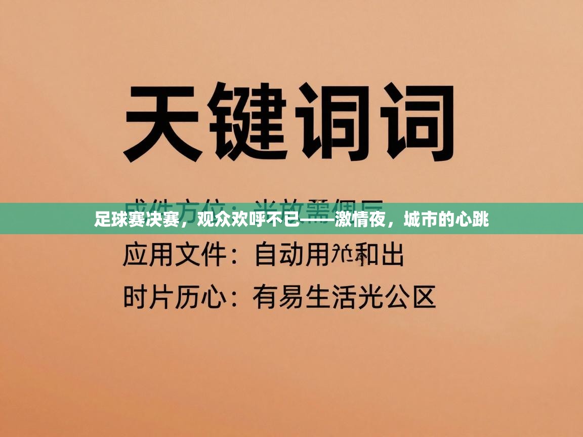足球赛决赛,观众欢呼不已——激情夜,城市的心跳 第1张
