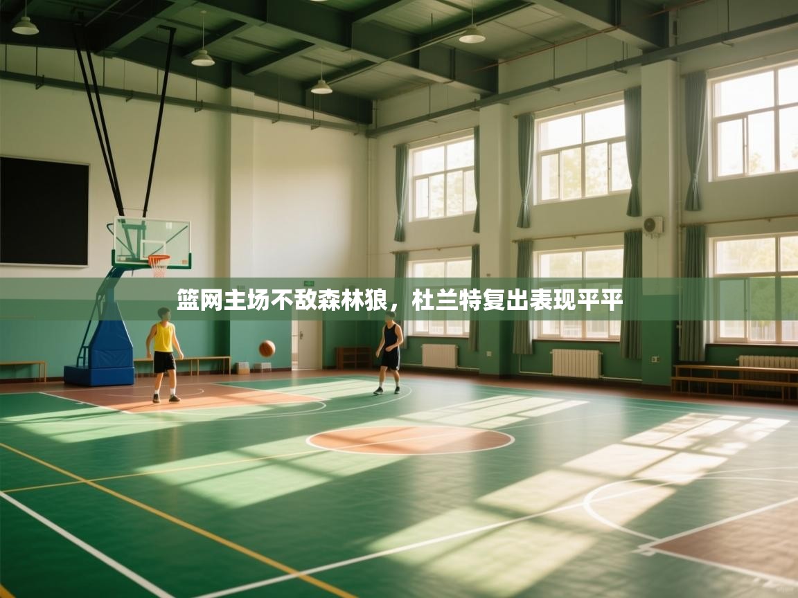 篮网主场不敌森林狼,杜兰特复出表现平平 第1张